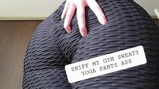 Sniff My Sweaty Gym Yoga Pants Ass