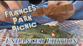 Frances Park Picnic - HD 1080p Version - Enhanced Edition