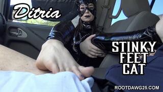 Ditria - Stinky Feet Cat SD MP4