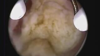 A new trip through my vagina!!!!!! Can you escape?