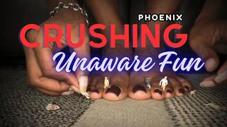 Phoenix’s Antmen Play: From Toes to Slides (SD 720p WMV)