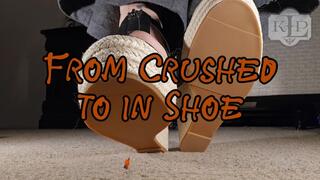 From Crushed to In-shoe