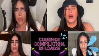 Cumshot Compilation, 23 Loads!