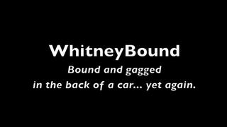 Car Bound and Gagged!