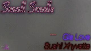 Small Smells (WMV 1080P)