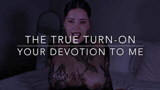 What's Actually Getting Your Dick Hard