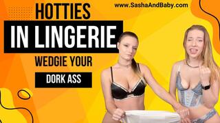Hotties in Lingerie Wedgie Your Dork Ass