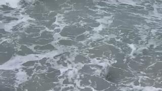 Ocean ocean and more ocean