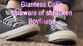 Giantess Cali is unaware of shrunken boyfriend