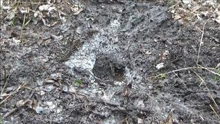 Stuck Boots In Mud 1