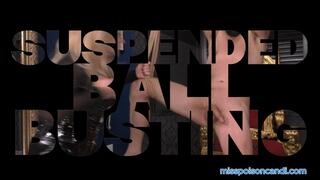 Suspended Ball Busting