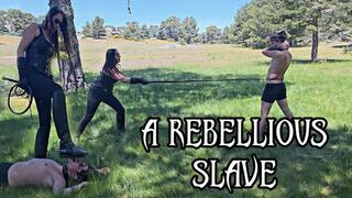 A REBELLIOUS SLAVE