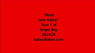 Jane's AI Bots at Second Life mp4