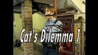 Cat’s Dilemma, One