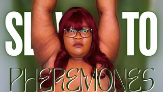 Slave to Pheremones - Bella Trixxx Hairy Armpit Ebony Goddess Worship 720p
