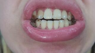 Close-up from my mouth chewing