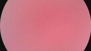 Vore endoscope #6 twizzler!!