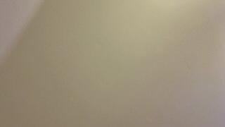 Aircraft Toilet (mkv)