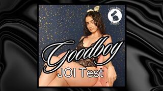Goodboy JOI Test
