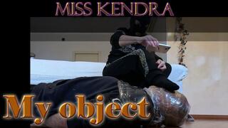 My object (Fixed POV)