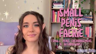 small penis faerie