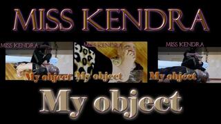 My object (All versions)