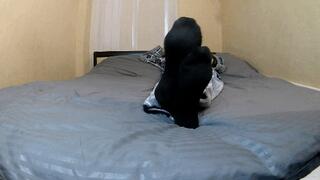 Alex ruthlessly destroys his socks CD