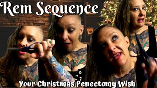 Your Christmas Penectomy Wish WMV