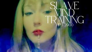 Training The Slave Mind