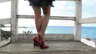 Shoe Hunter 43 WMV (1920x1080) FHD