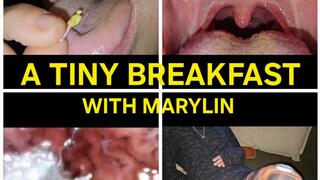 Marylin: A Tiny For Breakfast