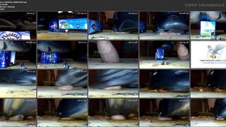 She destroys a toy truck and penis with her buffalos and her weight of 140 kg