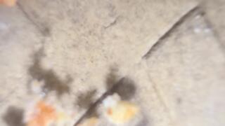 High School Nike Shors Crush Peanuts Underglass POV