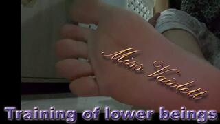 Training of lower beings