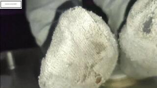 Mila1_Fox OLD dirty socks hide feet needing pampering