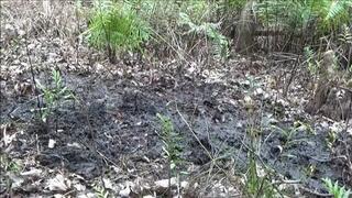 Stuck Boots In Mud 2