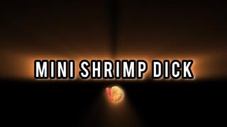 Mini Shrimp!
