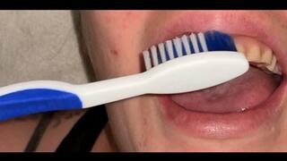 Let’s play dentist