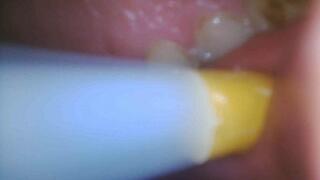 Speed Smoking Marlboro Virginia Blend insideb