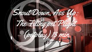 Snout Down, Ass Up: The Filthy pet Plight (petplay) 13 min