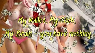 My Wallet, My Cock, My Brain - you have nothing!