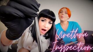 Urethra Inspection 1080p MP4