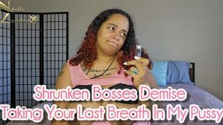 Shrunken Bosses Demise Taking His Last Breath In My Pussy 4k