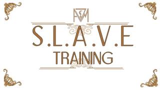AVM SLAVE Training