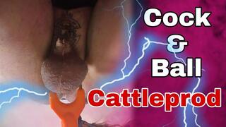 Femdom Slave Gets Cattle Prod to Balls!