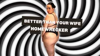 Better than your wife Homewrecker