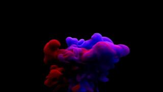 Solo Drooling & Twitching