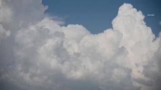 Test Clip - January 31, 2025