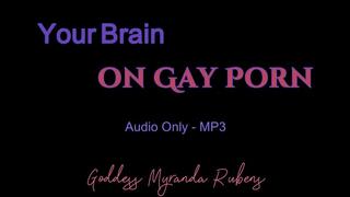 Your Brain on Gay Porn - Audio Only MP3