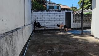 The brutal destiny of the young slave by the goddess